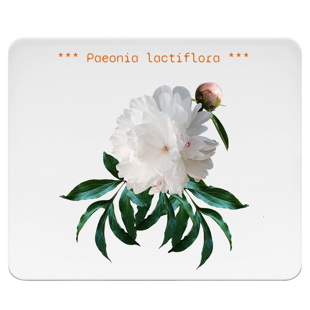 Mousepad "Pfingstrose"
