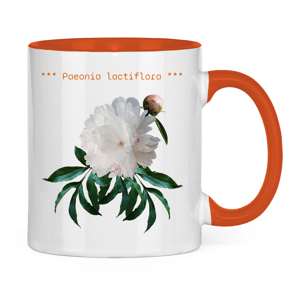 Tasse "Pfingstrose"