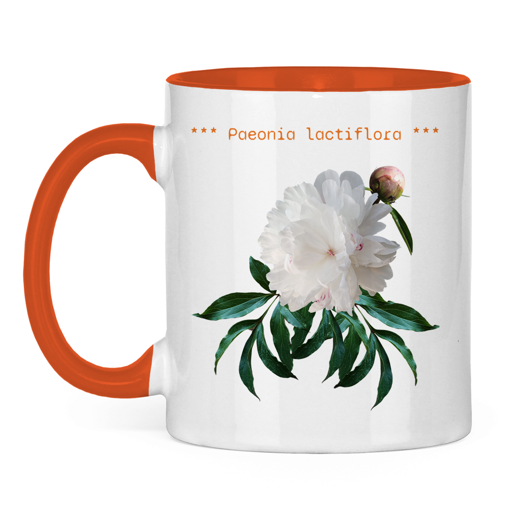 Tasse "Pfingstrose"